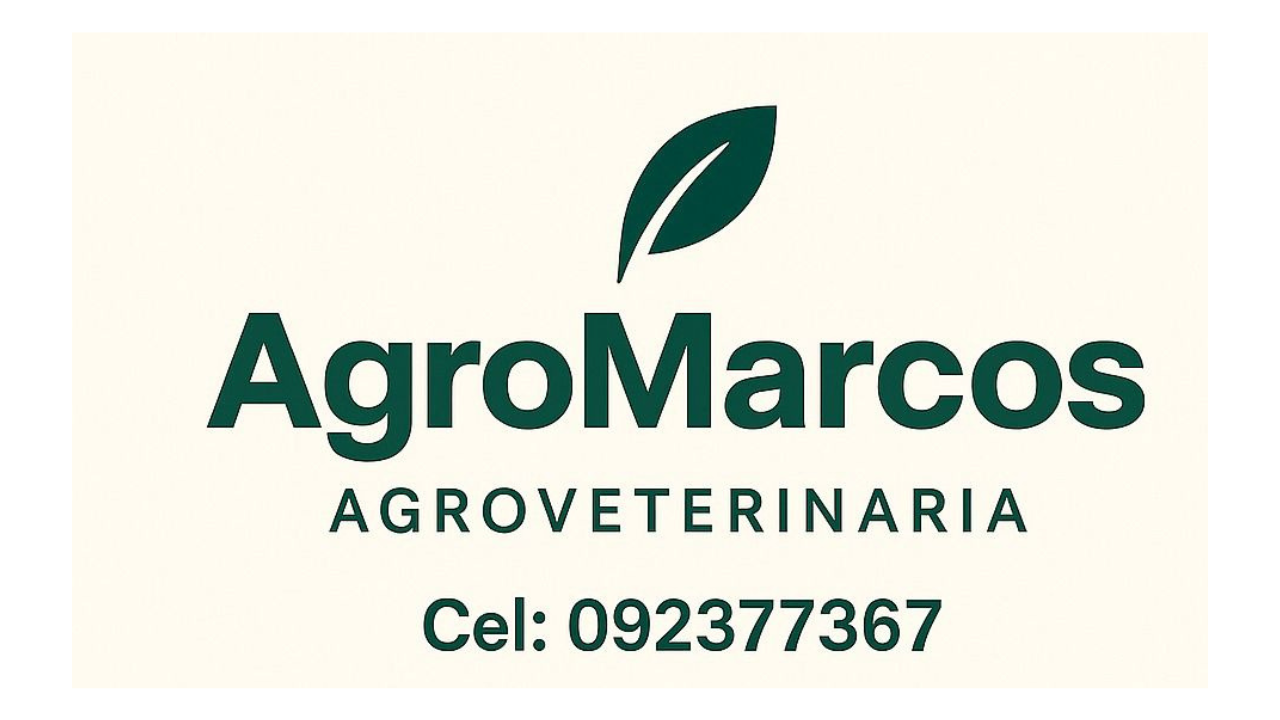 Sponsor